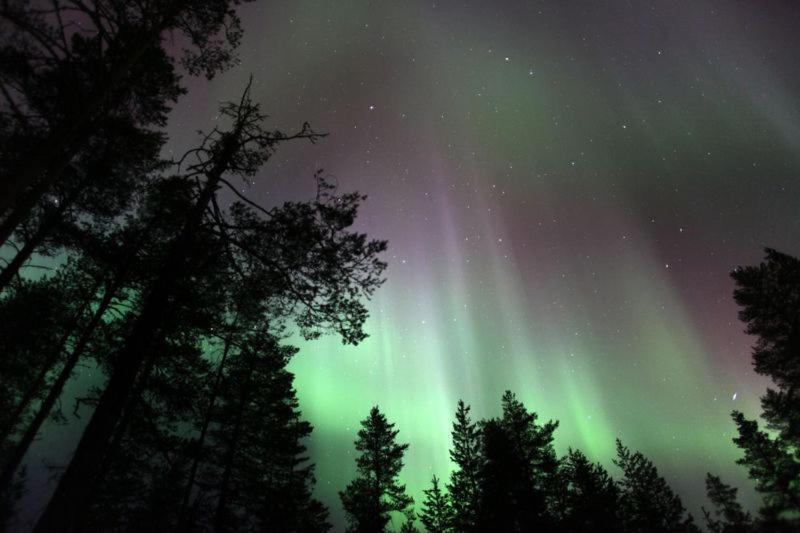 Santa'S Studio Valta Apartman Rovaniemi Kültér fotó